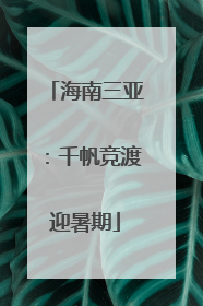 海南三亚：千帆竞渡迎暑期