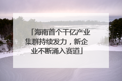 海南首个千亿产业集群持续发力，新企业不断涌入赛道