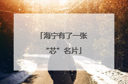 海宁有了一张“芯”名片