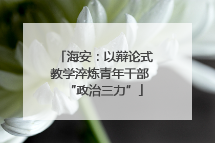 海安：以辩论式教学淬炼青年干部“政治三力”