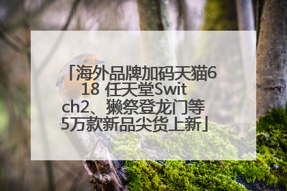 海外品牌加码天猫618 任天堂Switch2、獭祭登龙门等5万款新品尖货上新