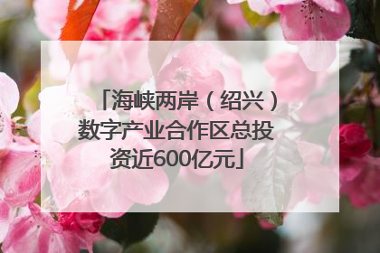 海峡两岸（绍兴）数字产业合作区总投资近600亿元