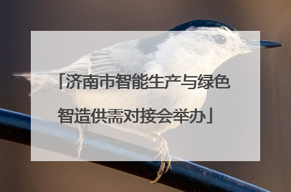 济南市智能生产与绿色智造供需对接会举办