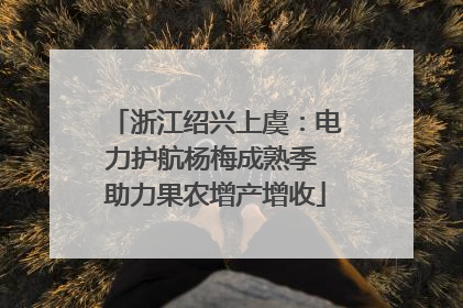 浙江绍兴上虞：电力护航杨梅成熟季 助力果农增产增收