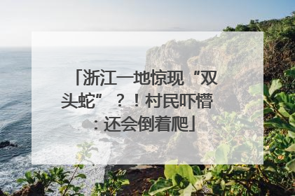 浙江一地惊现“双头蛇”？！村民吓懵：还会倒着爬