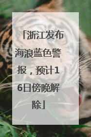 浙江发布海浪蓝色警报，预计16日傍晚解除