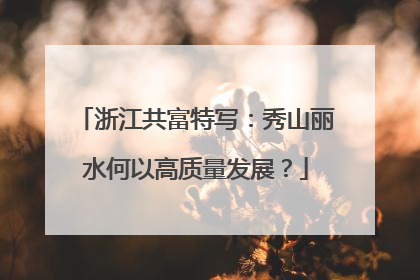 浙江共富特写：秀山丽水何以高质量发展？