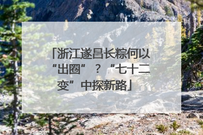 浙江遂昌长粽何以“出圈”？“七十二变”中探新路