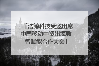 浩鲸科技受邀出席中国移动中资出海数智赋能合作大会