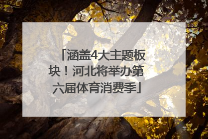 涵盖4大主题板块！河北将举办第六届体育消费季