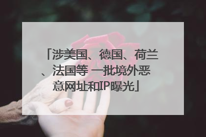 涉美国、德国、荷兰、法国等 一批境外恶意网址和IP曝光