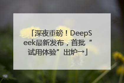 深夜重磅！DeepSeek最新发布，首批“试用体验”出炉→