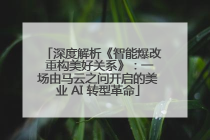 深度解析《智能爆改 重构美好关系》：一场由马云之问开启的美业 AI 转型革命