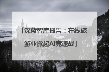 深蓝智库报告：在线旅游业掀起AI竞速战