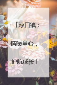 淳口镇：情暖童心，护航成长