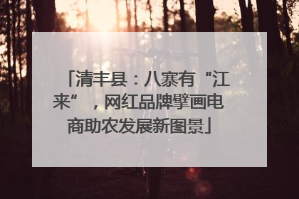 清丰县：八寨有“江来”，网红品牌擘画电商助农发展新图景