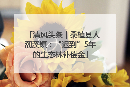 清风头条｜桑植县人潮溪镇：“迟到”5年的生态林补偿金