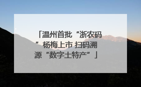 温州首批“浙农码”杨梅上市 扫码溯源“数字土特产”