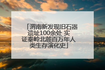 渭南新发现旧石器遗址100余处 实证秦岭北麓百万年人类生存演化史
