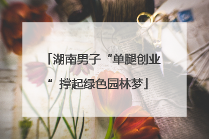湖南男子“单腿创业”撑起绿色园林梦