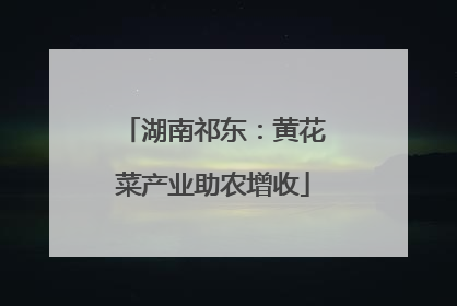 湖南祁东：黄花菜产业助农增收