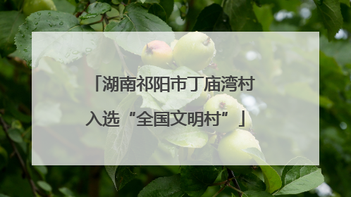 湖南祁阳市丁庙湾村入选“全国文明村”