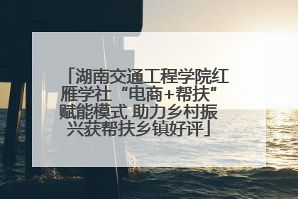 湖南交通工程学院红雁学社“电商+帮扶”赋能模式 助力乡村振兴获帮扶乡镇好评