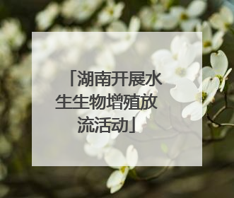 湖南开展水生生物增殖放流活动