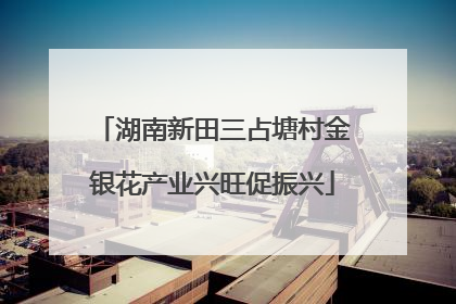 湖南新田三占塘村金银花产业兴旺促振兴
