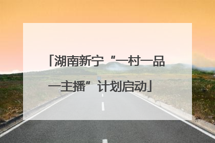 湖南新宁“一村一品一主播”计划启动