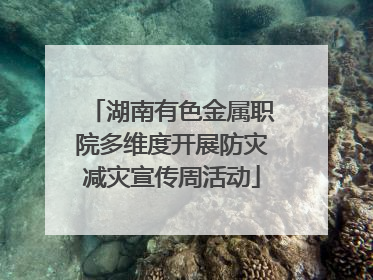 湖南有色金属职院多维度开展防灾减灾宣传周活动