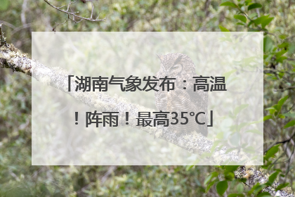 湖南气象发布：高温！阵雨！最高35℃