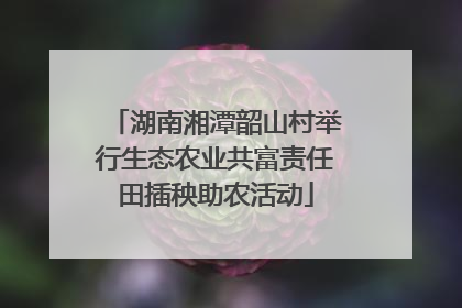 湖南湘潭韶山村举行生态农业共富责任田插秧助农活动
