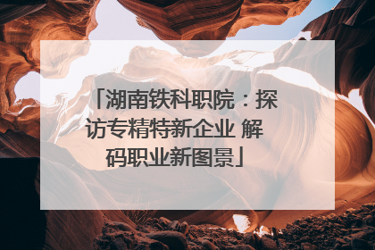 湖南铁科职院：探访专精特新企业 解码职业新图景