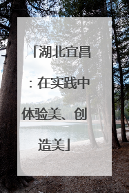 湖北宜昌：在实践中体验美、创造美