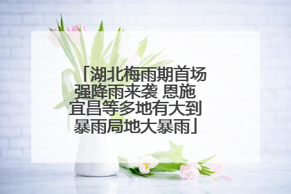 湖北梅雨期首场强降雨来袭 恩施宜昌等多地有大到暴雨局地大暴雨