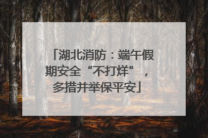 湖北消防：端午假期安全“不打烊”，多措并举保平安