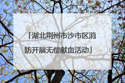 湖北荆州市沙市区消防开展无偿献血活动