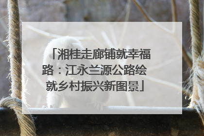 湘桂走廊铺就幸福路：江永兰源公路绘就乡村振兴新图景