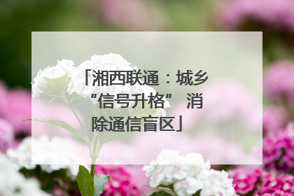 湘西联通：城乡“信号升格” 消除通信盲区
