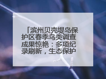 滨州贝壳堤岛保护区春季鸟类调查成果惊艳：多项纪录刷新，生态保护成效显著