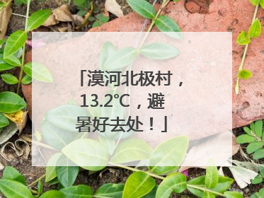 漠河北极村，13.2℃，避暑好去处！