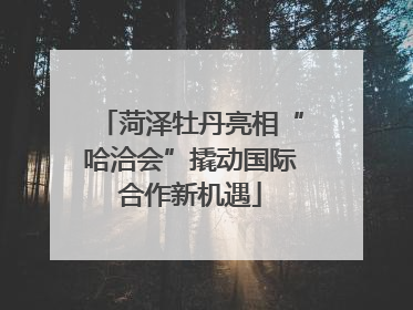菏泽牡丹亮相“哈洽会”撬动国际合作新机遇