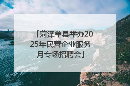 菏泽单县举办2025年民营企业服务月专场招聘会