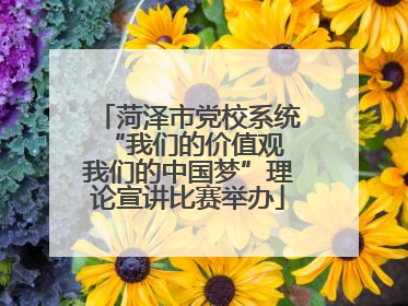 菏泽市党校系统“我们的价值观 我们的中国梦”理论宣讲比赛举办
