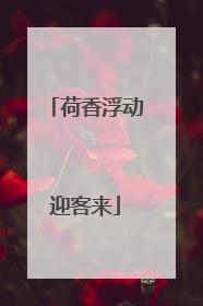 荷香浮动迎客来