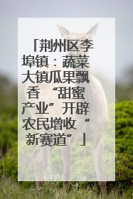 荆州区李埠镇：蔬菜大镇瓜果飘香 “甜蜜产业”开辟农民增收“新赛道”