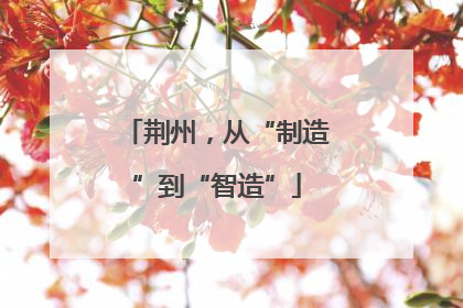 荆州，从“制造”到“智造”