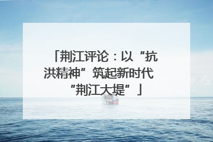 荆江评论：以“抗洪精神”筑起新时代“荆江大堤”