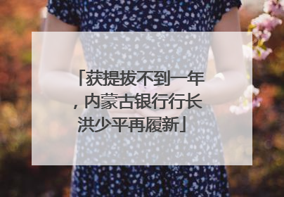 获提拔不到一年，内蒙古银行行长洪少平再履新